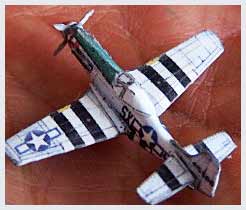 North American P51 Fiddlersgreen MM 2010 winner