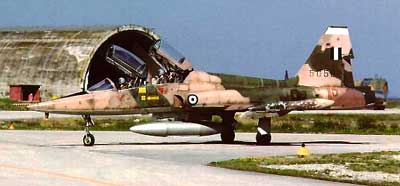Northrop F-5 Freedom Fighter Inflight Trainer
