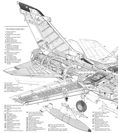 Panavia Tornado Cutaway Rear