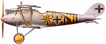 Pfalz DIII Side View