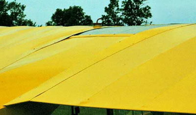 Piper Cub View of wings