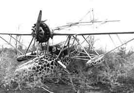 Sikorsky S-39 crashed