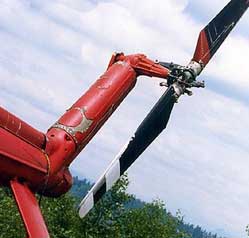 S-55 tail