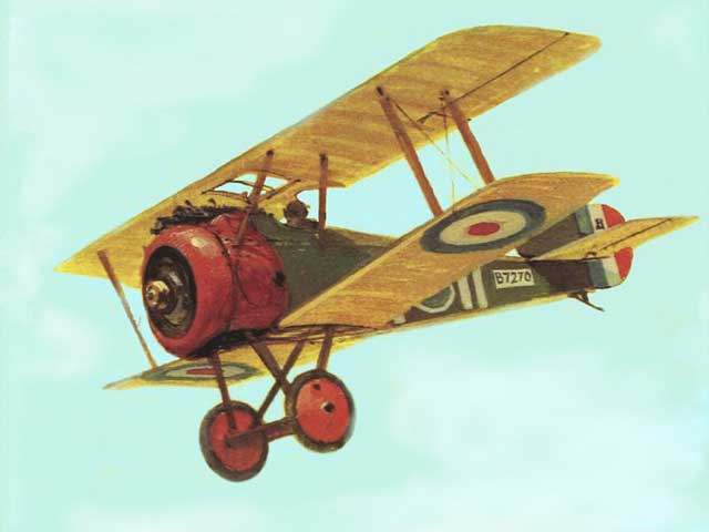 Roy Brown's Sopwith Camel