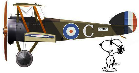 SOpwith Camel and Snoopy watching