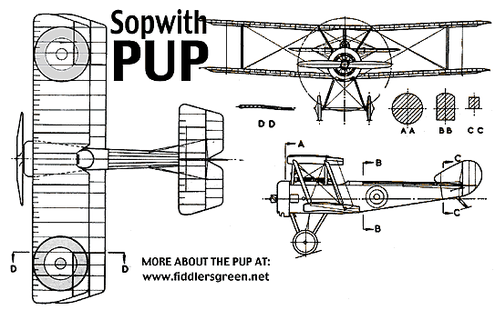 Three views of the Pup