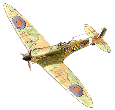 Spitfire Drawing