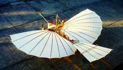 whitehead glider