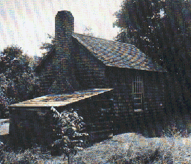 Thoreau's Cabin from the rear