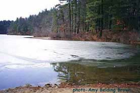 Walden in early spring