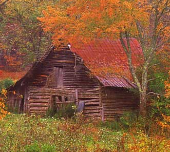 Old New England Barn-Autumn