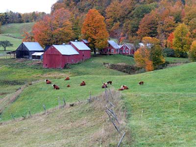 Jenne Farm, Vermont