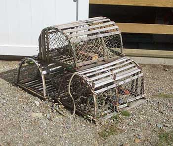 lobster traps