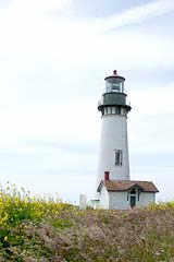 Yaquina Head Light house-photo