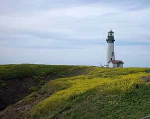 Yaquina Head LH-photo