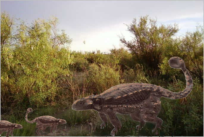 ankylosaurs in the wild