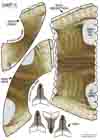 Sheet2