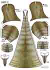 Sheet3