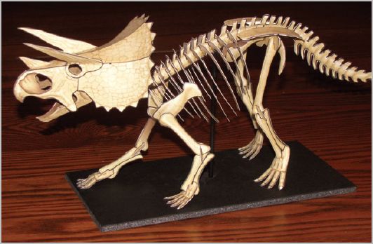 Triceratops Skeleton paper model kit