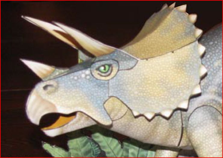 Richard Derry Triceratops Head