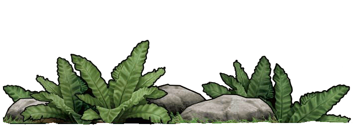 some Upper Cretaceous vegetation