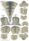 Sheet3