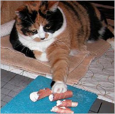 cat and Stegosaurus 2
