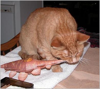 cat and Stegosaurus 6