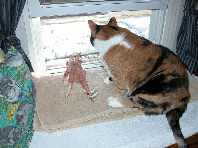 stegosaurus by the window