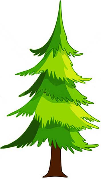 dates tree cartoon. Spruce Tree-Downloadable