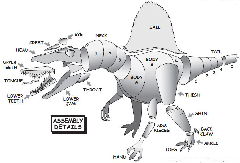 Diagram for spinosaurus paper model