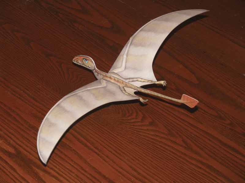 Dimorphodon Paper Glider