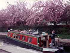 Narrow Boat