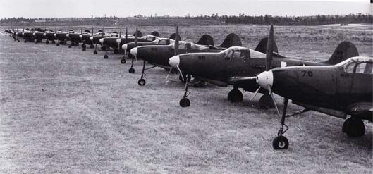 P-39 Airacobras in lineup