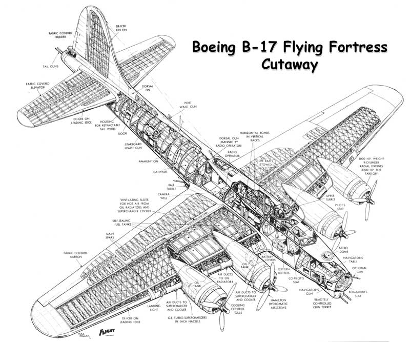 Boeing B-17 Flying Fortress Cutaway