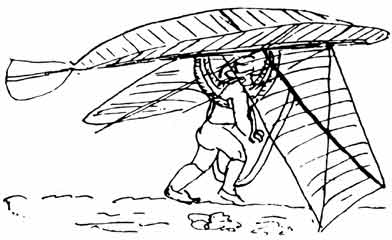 Man-powered Ornithopter