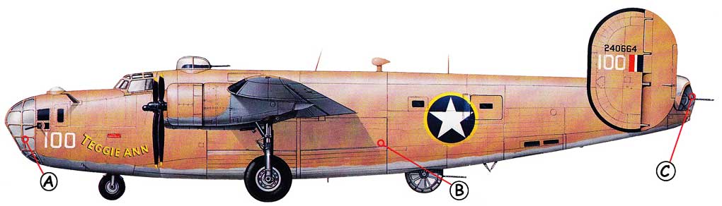 Consolidated B-24 Callout