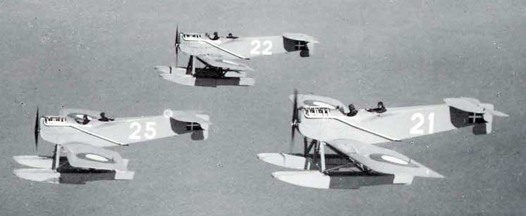 W.29's flying in formation