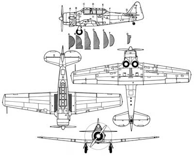 3 View of a North American Texan