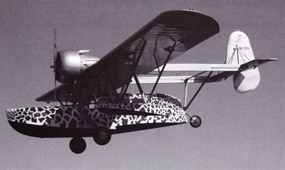 Sikorsky S-39 In Flight