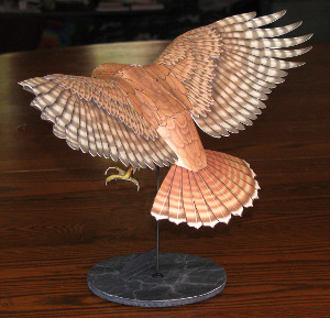 top view of a red tailed hawk paper model