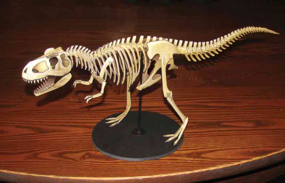 Skeleton of T.rex