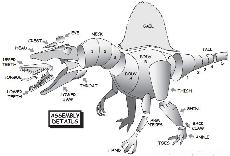 Diagram for spinosaurus paper model